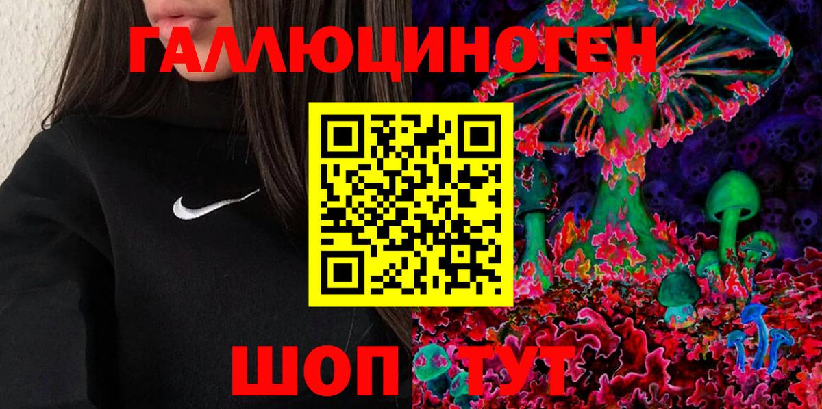 Псилоцибиновые грибы мухоморы Томск