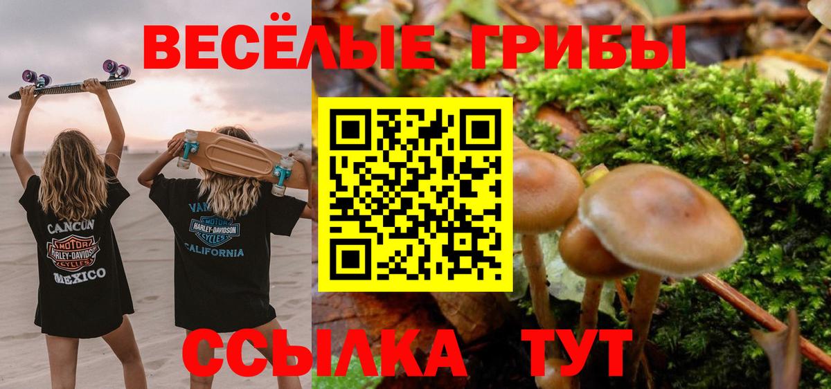 Псилоцибиновые грибы Magic Shrooms  Вход с VPN  Томск  Псилоцибиновые грибы GOLDEN TEACHER 