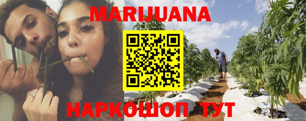 Марихуана план Томск